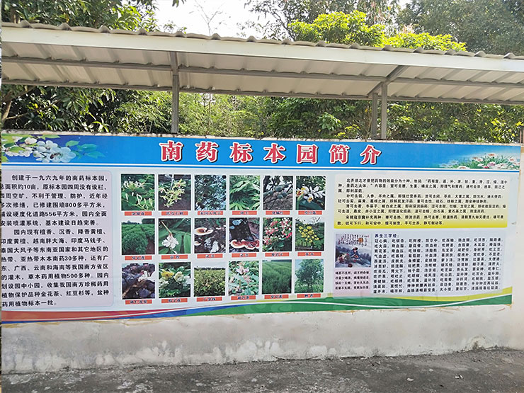 1-1Z21Q10J5128 CA88(中国区)唯一官方网站