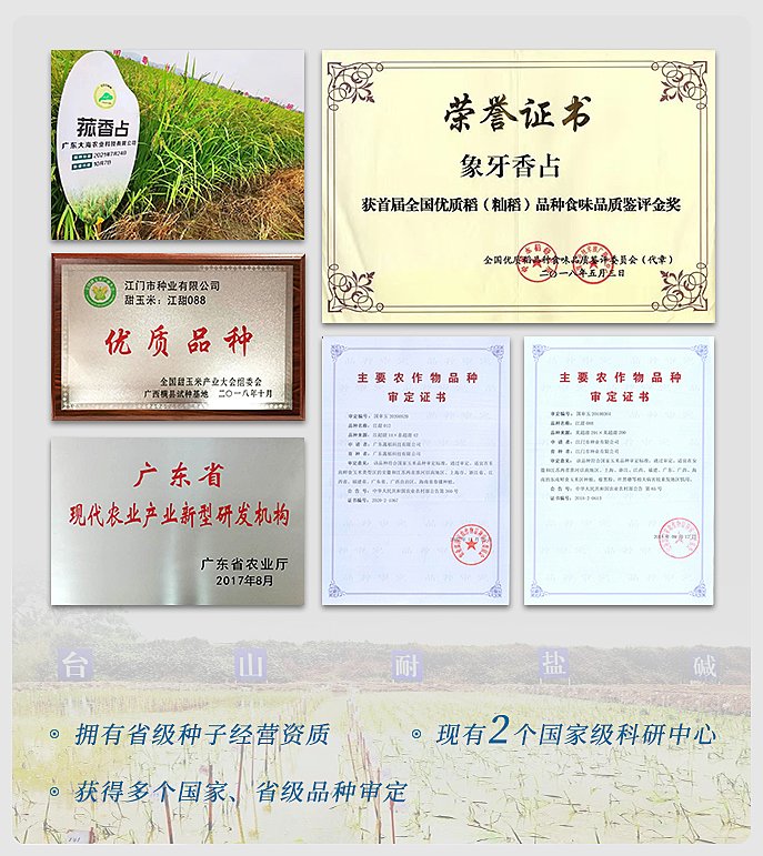 CA88(�й���)Ψһ�ٷ���վ