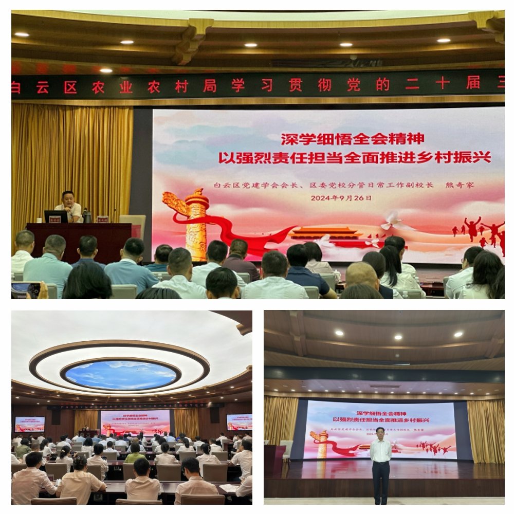 1-2409291046203Q CA88(中国区)唯一官方网站