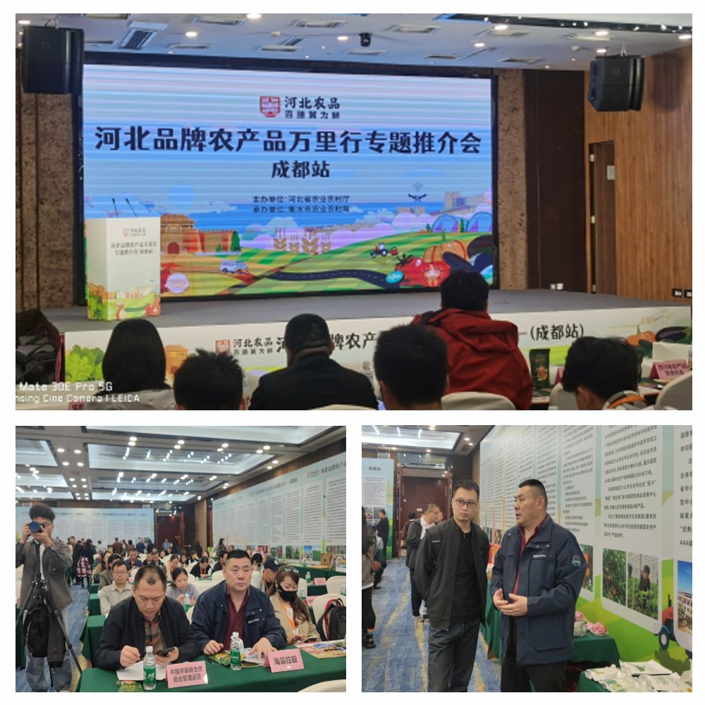 1-24102416292DM CA88(中国区)唯一官方网站