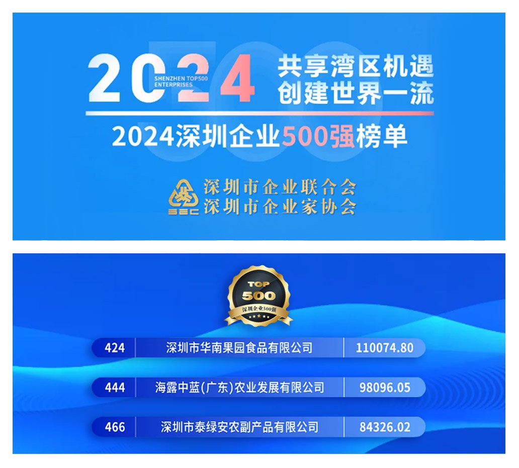 1-241220141S4940 CA88(中国区)唯一官方网站