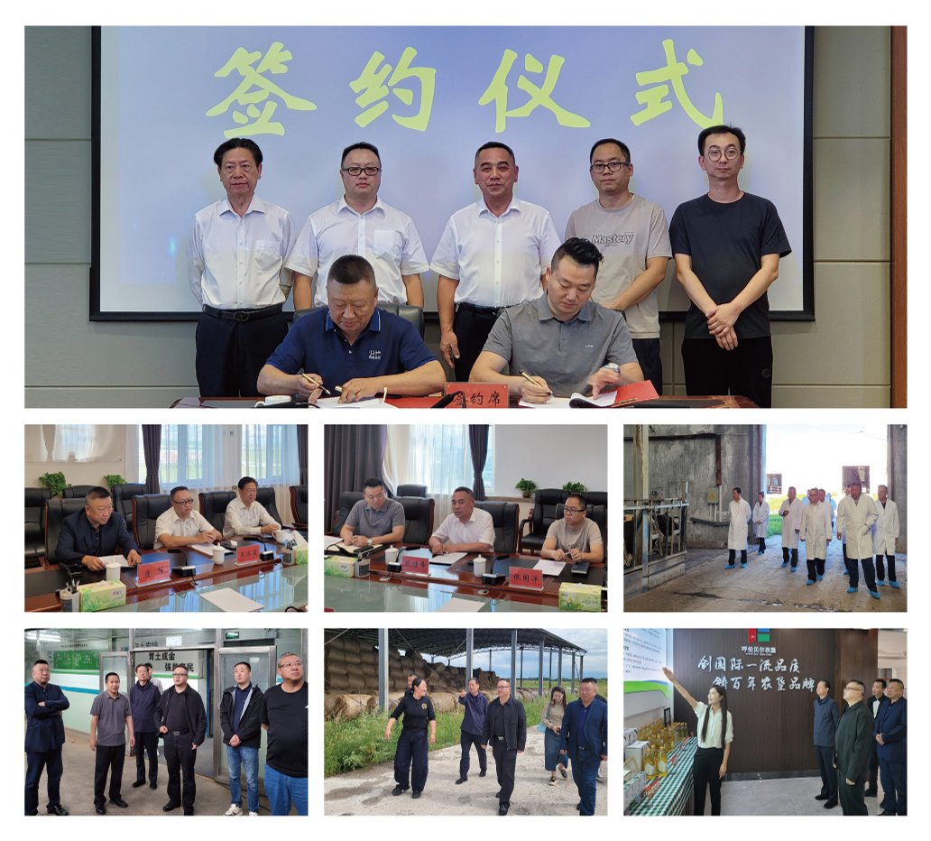 CA88(�й���)Ψһ�ٷ���վ